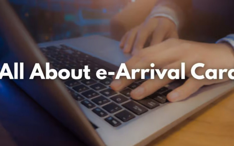 Что такое цифровая карта прибытия: как туристу ее оформить и в каких странах действует